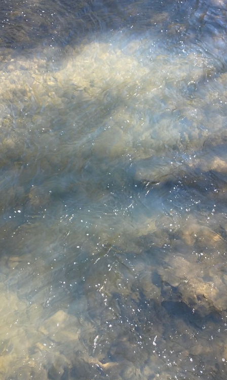 
					Embracing Change: Grief, Growth & Starting Over
				