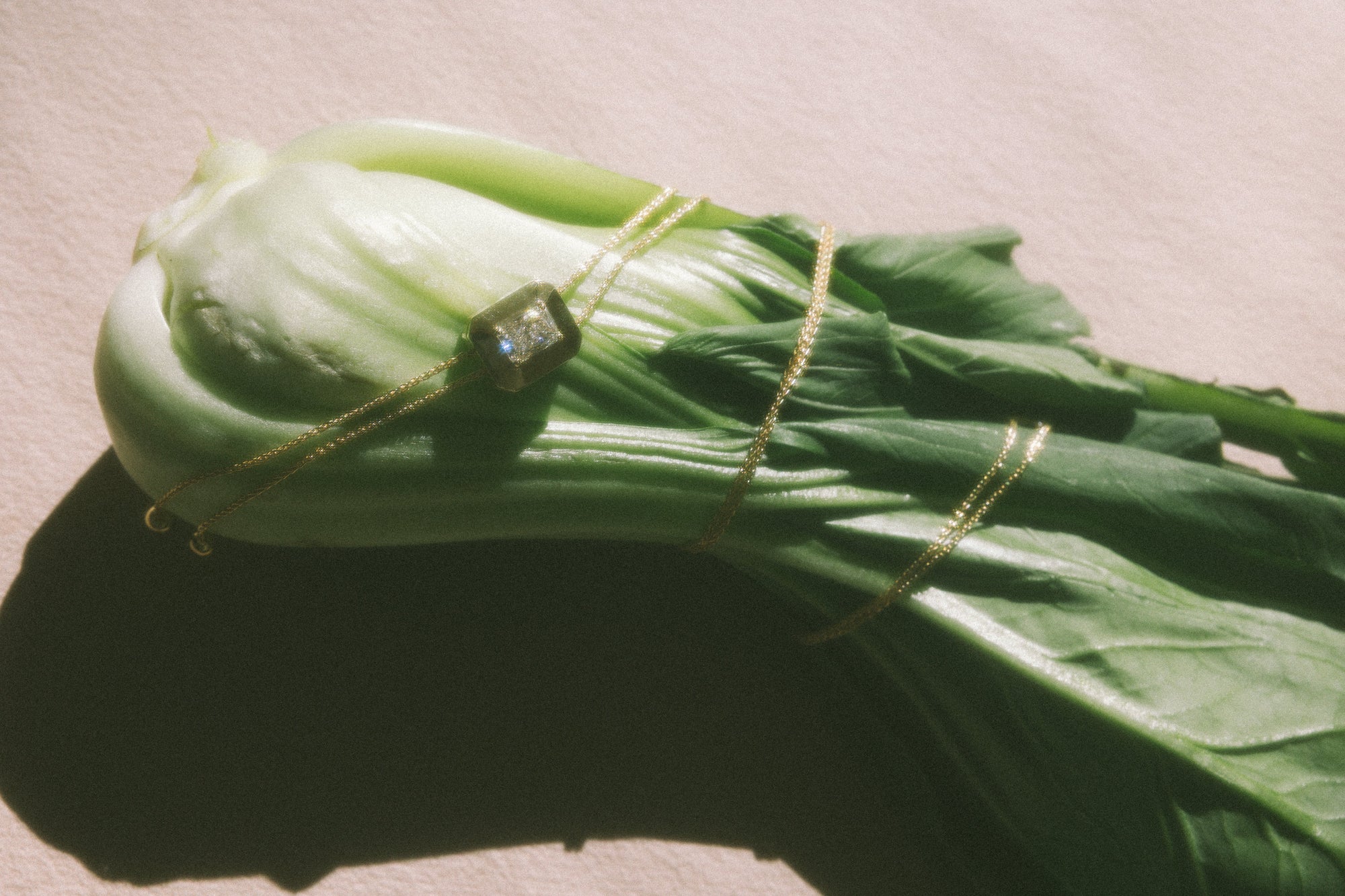 
					5 Ways HANAN MOSER Create Consciously
				